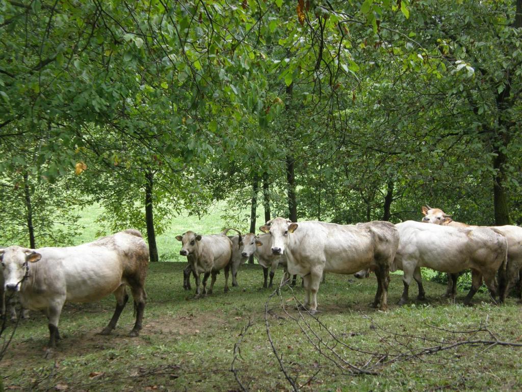 Agriturismo La Meridiana Frabosa Sottana Εξωτερικό φωτογραφία