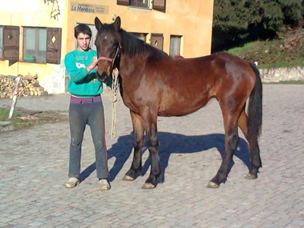 Agriturismo La Meridiana Frabosa Sottana Εξωτερικό φωτογραφία